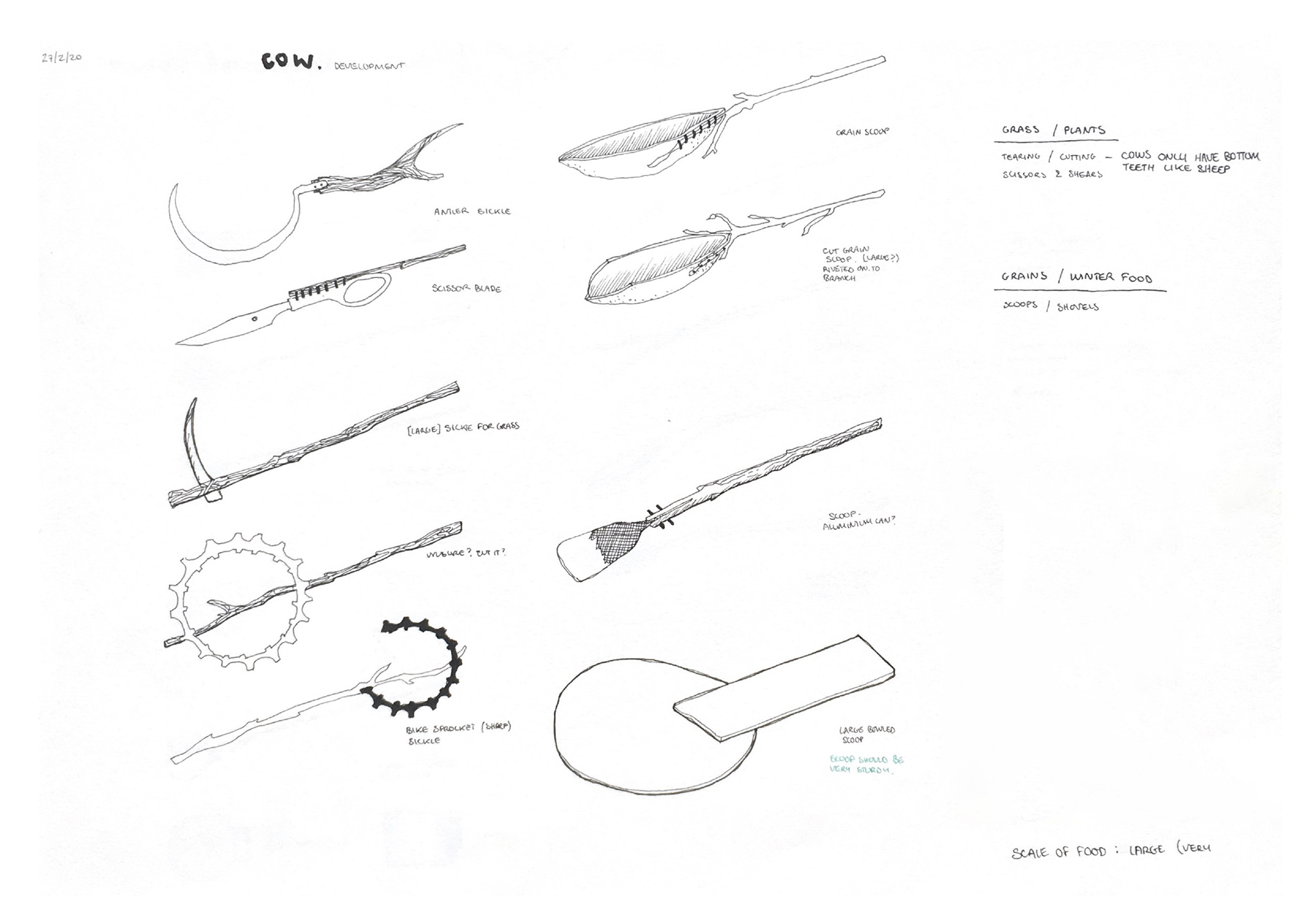 sketch of designs for long horned cow